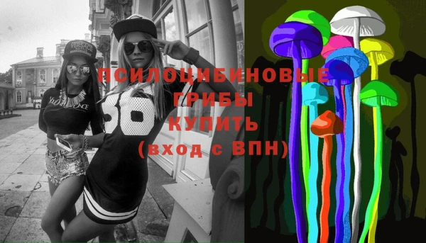 дживик Белоозёрский