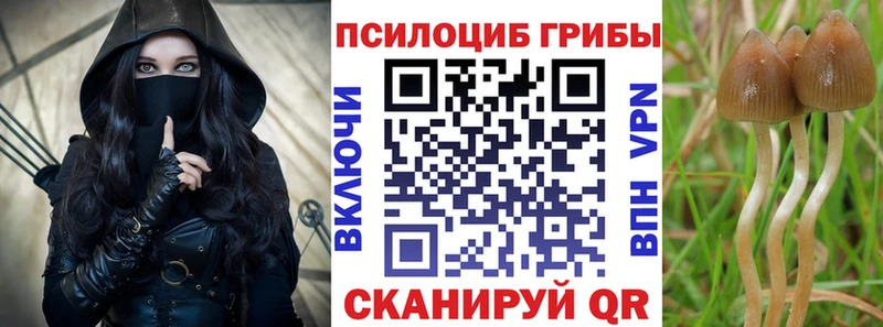 Галлюциногенные грибы прущие грибы Купить закладки Морозовск